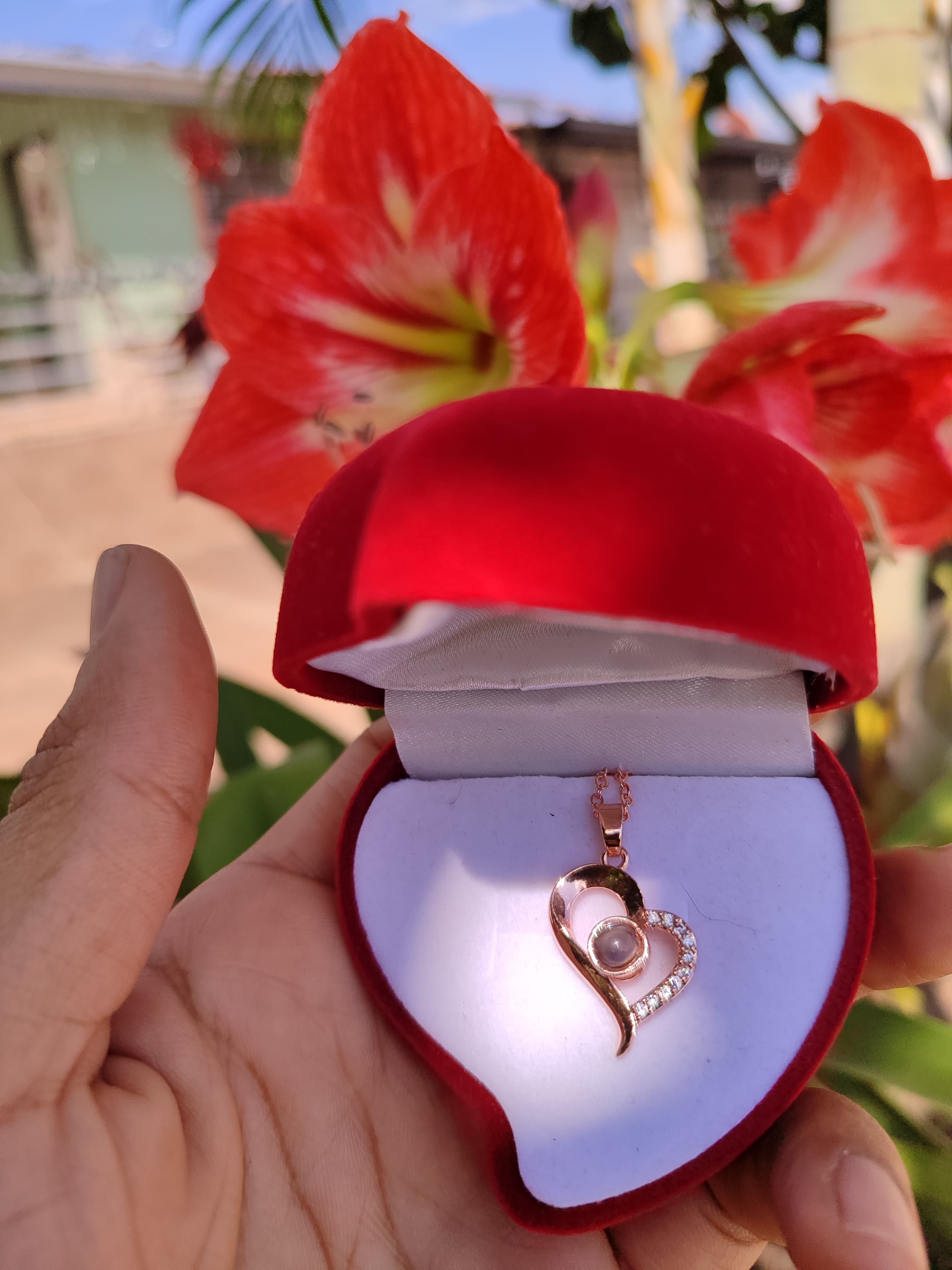 📿 COLLAR CORAZÓN TE AMO 100 IDIOMAS+CAJA REGALO💖